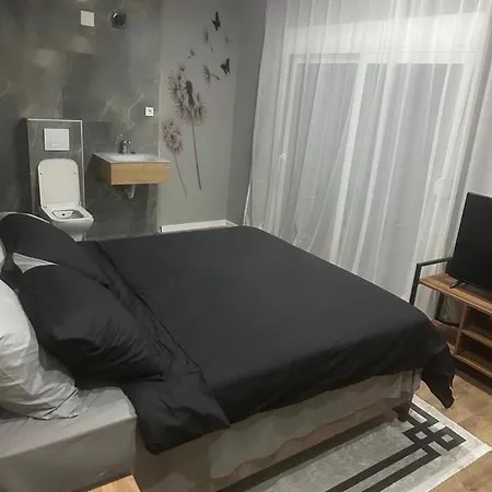 Albatros Villa Budva